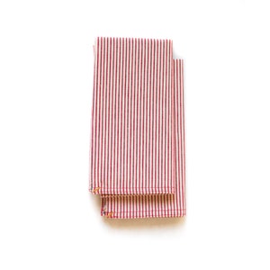 Red Pinstripe Dinner Napkins Set of 2 image 1