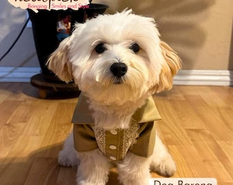 Dog Polo Barong: Filipino-Inspired Lace Pet Shirt Made in the Philippines