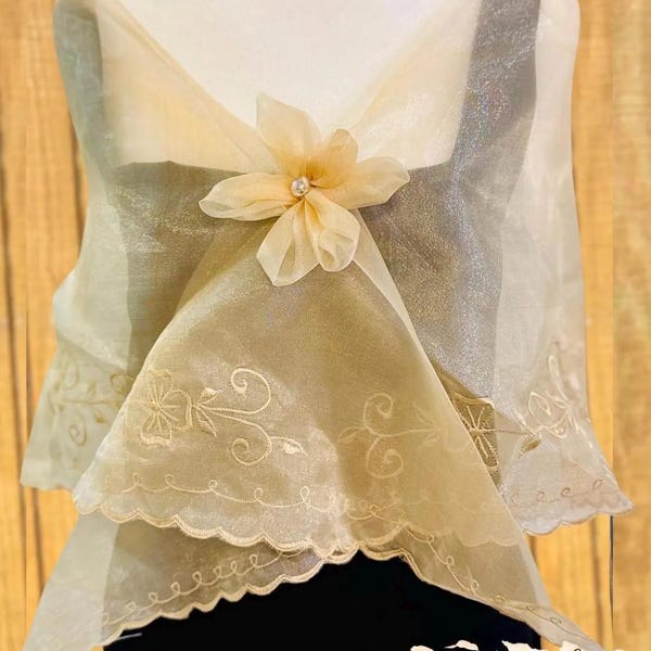 Embroidered Filipiniana Alampay Scarf with Handmade Brooch Beige Piña Organza