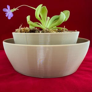 Self-Watering Pot for Butterworts, Bladderworts, Venus Fly Trap, Nepenthes, Sarracenia & Carnivorous Bog Plants, 4 or 6 Inch