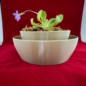 Self-Watering Pot for Butterworts, Bladderworts, Venus Fly Trap, Nepenthes, Sarracenia & Carnivorous Bog Plants, 4 or 6 Inch
