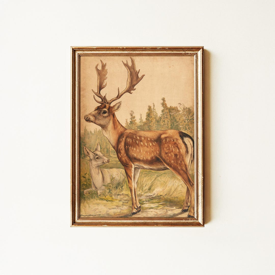Heritage Stag and Doe Forest Illustration | Timeless Deer Wildlife Art ...
