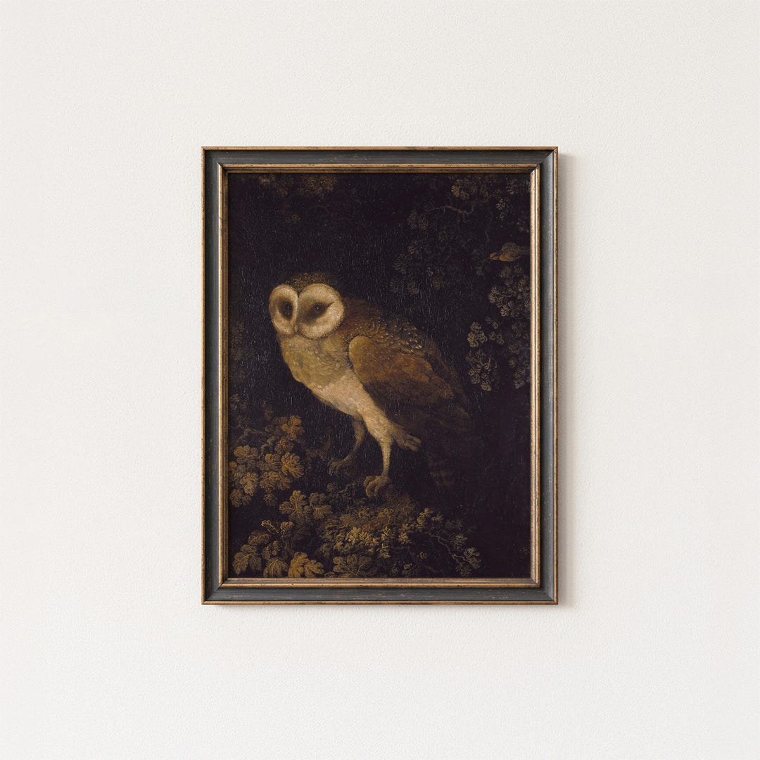 Timeless Barn Owl Wall Art | Vintage Owl Painting Print | Rustic ...