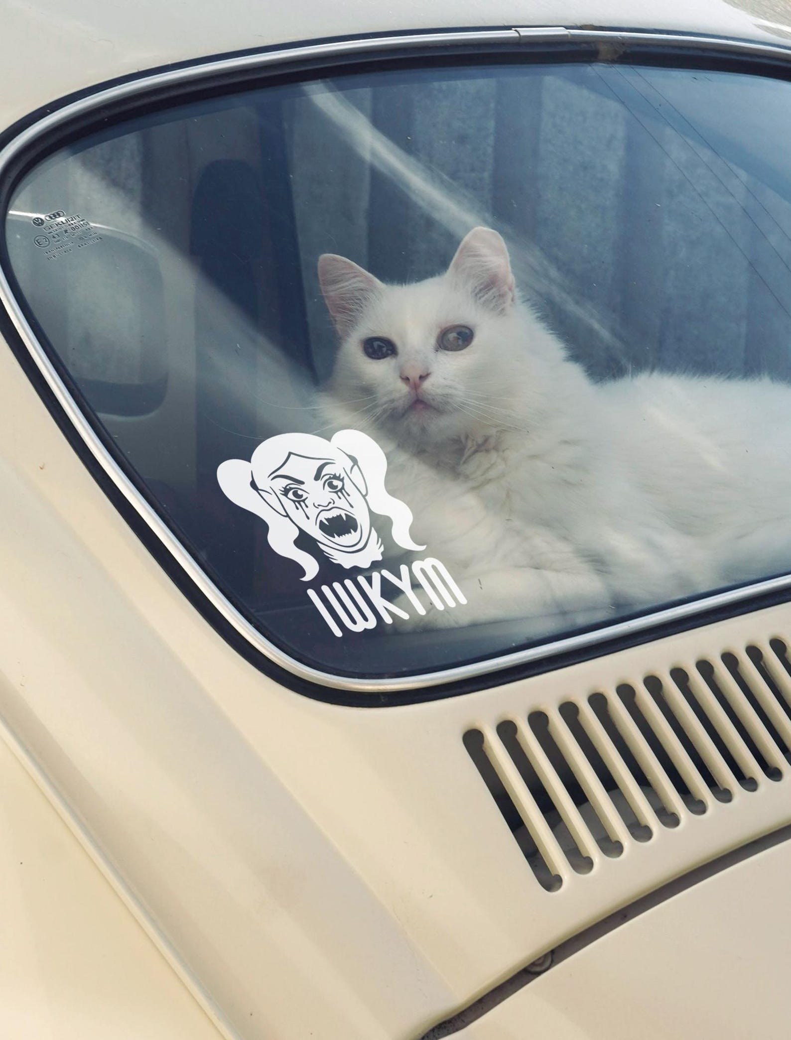 Samantha Dungeon Crawler Carl Car Decal • I Will Kill Your Mother ...