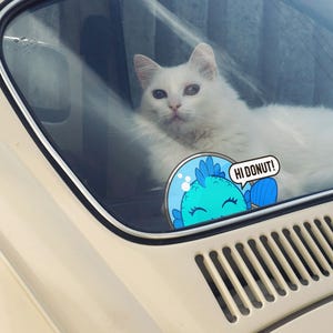 May include: A fluffy white cat sits inside a cream-colored car, visible through the rear window. A circular sticker is attached to the glass, featuring a blue cartoon fish with the speech bubble text HI DONUT! and a light blue background.