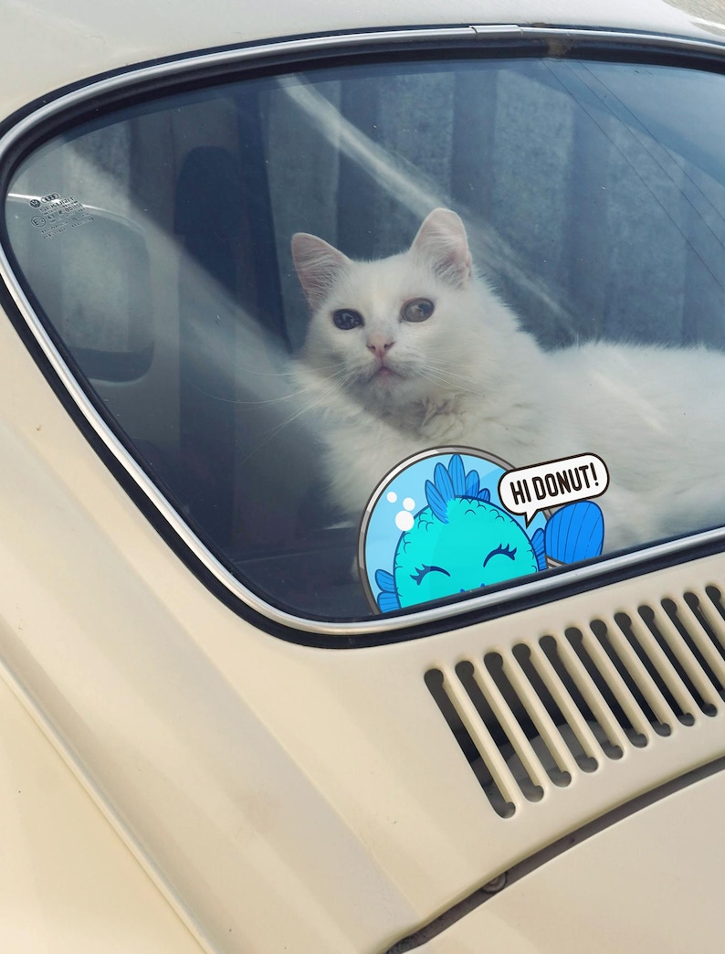 May include: A fluffy white cat sits inside a cream-colored car, visible through the rear window. A circular sticker is attached to the glass, featuring a blue cartoon fish with the speech bubble text HI DONUT! and a light blue background.
