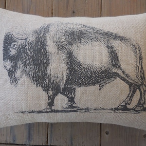 Buffalo Burlap Pillow, Bison Pillow, Southwest decor, Shabby Chic, Lodge, Cabin, Farmhouse Pillows, Wild27, INSERT INCLUDED