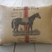 see more listings in the Horse Lover Pillows section
