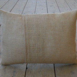 French Dragonfly Burlap Pillow, Farmhouse Pillows, Fixer Upper Style, Spring Pillow image 2