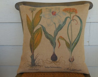 Botanical Print Burlap Pillow, Rustic French Farmhouse, Shabby Chi , Farmhouse Pillows, B18,  INSERT INCLUDED