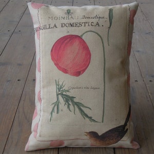 French Poppy Pillow, Botanical flowers, Farmhouse Pillows, Shabby Chic3, Spring Pillow, Mother&#39;s Day Gift,  INSERT INCLUDED