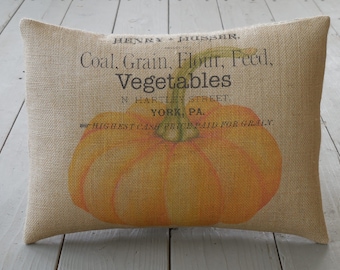 May include: Rectangular burlap pillow featuring a vintage-style print. The design includes a large orange pumpkin and text that reads "Coal, Grain, Flour, Feed, Vegetables" and "York, PA." The pillow has a rustic, farmhouse aesthetic.