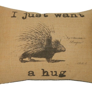 May include: A brown burlap pillow with a black and white illustration of a porcupine and the text "I just want a hug".