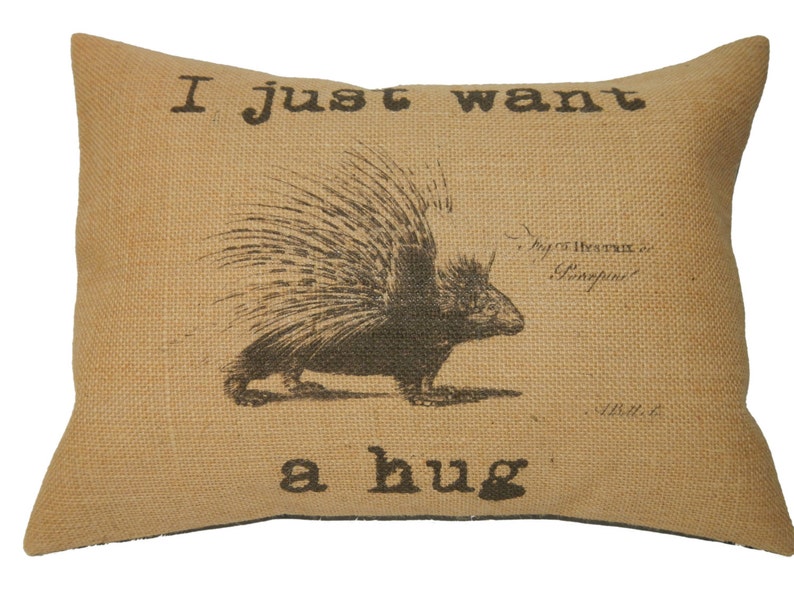 Porcupine Burlap Pillow, I just want a hug, Shabby Chic Decor, Farmhouse Pillows, Gift for Girlfriend image 1