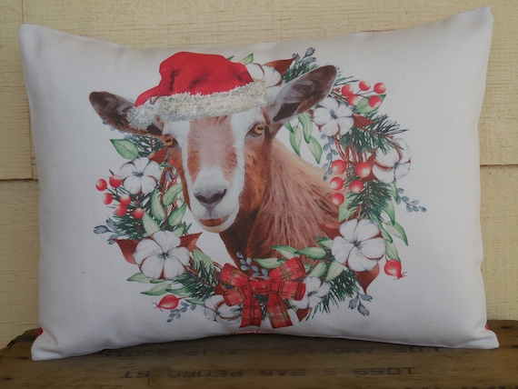 Farmhouse christmas pillows sale