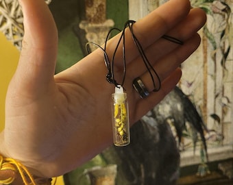 Echtes Insekt und Getrocknete Blume Kuriosität Flasche Halskette