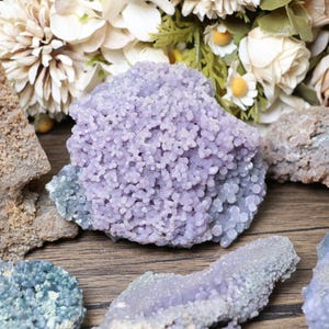 May include: A collection of grape agate specimens, showcasing a range of colors from lavender to pale blue. The grape agate has a bubbly, botryoidal texture. The background includes dried flowers, adding a natural aesthetic to the display.