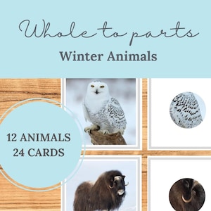 Whole to Parts – Winter Animals Montessori Matching Activity