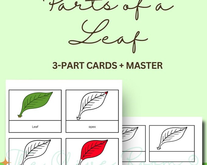 Parts of a Leaf - Montessori 3-part-cards - Etsy Canada