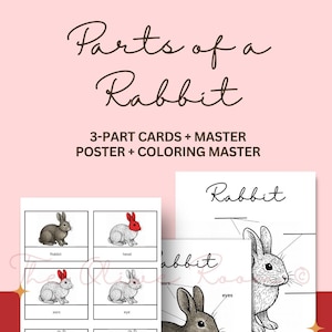 May include: Educational set with a pink backdrop, titled "Parts of a Rabbit." It includes 3-part cards, a master poster, and a coloring master. The cards display labeled illustrations of rabbit anatomy, using a grey and red colour scheme.
