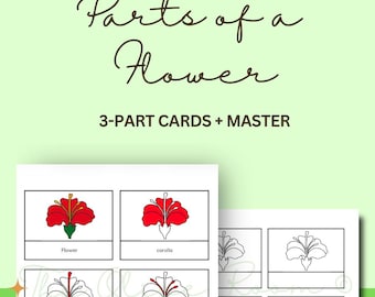 Parts of a Plant Nomenclature 3-part Cards & Blackline Master ...