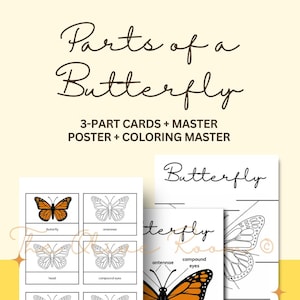 May include: Educational butterfly-themed cards and poster set. The set includes 3-part cards, a master poster, and a colouring master. The cards feature illustrations of butterfly parts, including antennae, head, thorax, and abdomen. The poster shows a butterfly with labeled parts.