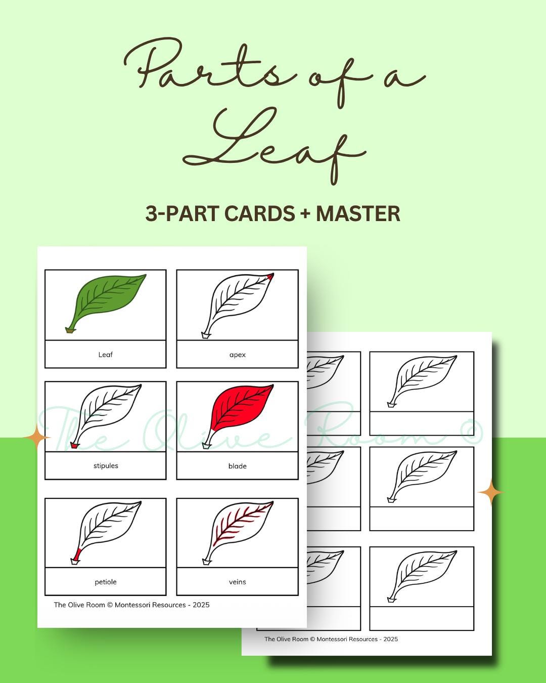 Parts of a Leaf - Montessori Botany Shelf Nomenclature 3-part Cards ...