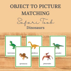 May include: Educational matching game featuring dinosaur toys and cards. The cards have green borders and include the names of dinosaurs like tyrannosaur, spinosaurus, and pteranodon. The text "OBJECT TO PICTURE MATCHING" and "Safari Toob Dinosaurs" are displayed.