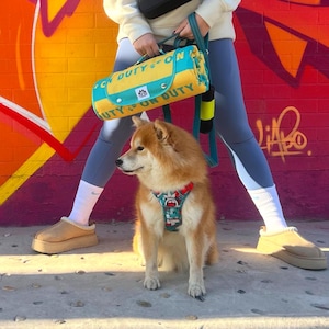 May include: A fluffy, light brown dog wearing a colorful harness sits on a sidewalk. The dog is in front of a person holding a yellow and teal dog bed with the words "DUTY ON" printed on it. The background features a colorful graffiti wall.