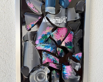 Arte con botellas rotas - Raf Camora Carnival Vodka - Regalos de bandas - Arte abstracto con botellas rotas - Regalos - Regalo para hombres - Regalos para él