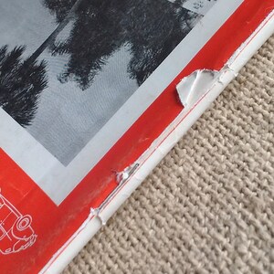 Pu&ograve; includere: Un libro rosso e bianco con un angolo di pagina strappato. Il libro ha una foto in bianco e nero di palme sulla copertina.