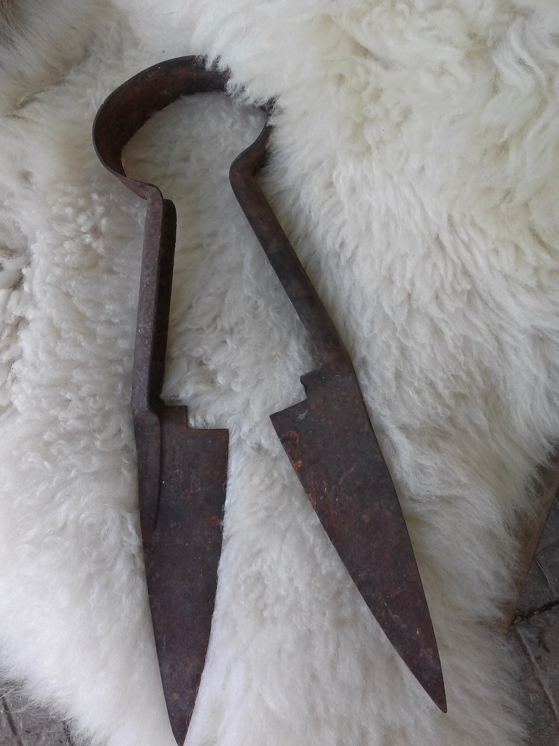 Rustic Vintage Sheep Shears Wool Cutters Farmhouse Decor Sheep Etsy UK