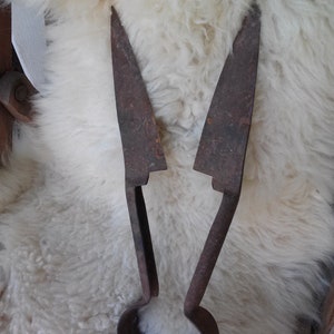 Antique Sheep Shears, Vintage Sheep Shears, Primitive Metal Sheep Shears,  Hand Forged Sheep Shears, Scissors for Cutting Sheeps -  Finland