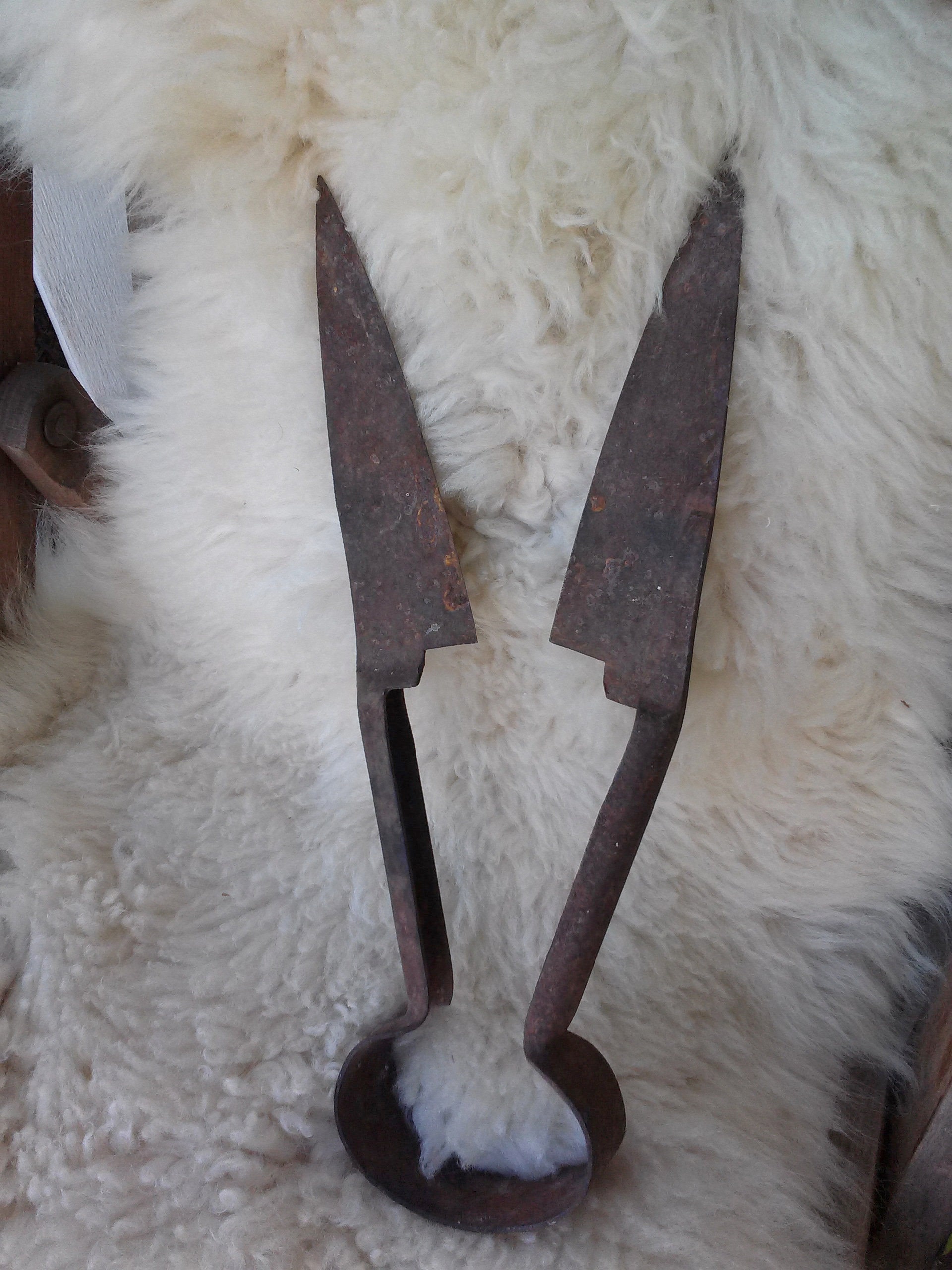 A Woodsrunner's Diary: Sheep Shearing Shears Knives-?