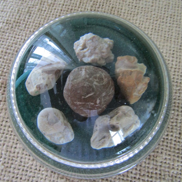 Vintage Rock Specimen Glass Paperweight Stones Fossils Vintage Office Desk Decor Vintage Indiana Park County Collectible Souvenir