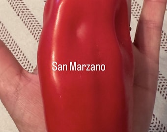 San Marzano Tomato Seeds – Classic Italian Plum, Heavy Cropping