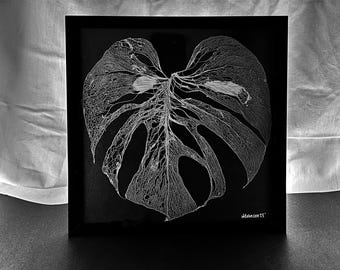 Monstera Albo Leaf Skeleton Print Half Moon Plant Art Home Decor - Etsy