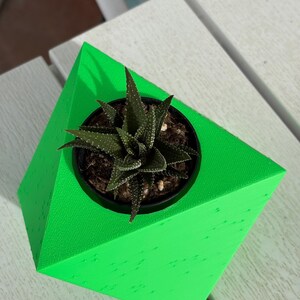 May include: A small succulent plant in a black pot sits inside a bright green geometric planter. The succulent has dark green leaves with white spots. The planter is a vibrant, eye-catching colour, and the overall aesthetic is modern and minimalist.