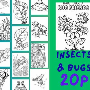 Páginas para colorear de amigos bichos, libro de actividades de insectos, hojas de naturaleza para niños pequeños (descarga digital)