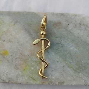 May include: A gold pendant depicting the Rod of Asclepius, a medical symbol. The pendant shows a staff with a serpent coiled around it. It has a loop at the top for a chain. The pendant is approximately 5 cm in length.