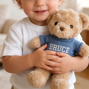 Personalized Teddy Bear with Embroidered Name,Custom Stuffed Animal,New Baby Gift,1st Birthday Gift,Personalised Gift for Kids,1605