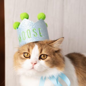 May include: A cat wearing a light blue glitter crown with the name "MOOSE" embroidered in green. The crown is decorated with green pom-poms. The cat has brown and white fur and a light blue ribbon tied around its neck.