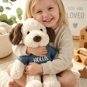 May include: A plush dog toy with cream-coloured fur, dark brown ears, and a dark brown nose. The dog is wearing a blue knitted sweater with the name HOLLIS printed in white capital letters on the front of the garment.