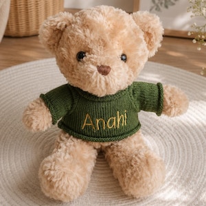 Geborduurde naam teddybeer, gepersonaliseerde knuffel, welkomstcadeau nieuwe baby, verjaardagscadeau peuter, aangepaste aandenken speelgoed, 1605