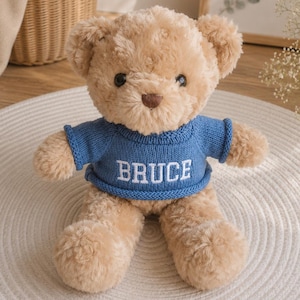 May include: A soft, light brown teddy bear wearing a blue jumper with the name "BRUCE" in white lettering. The bear has black eyes and is on a white, circular mat.