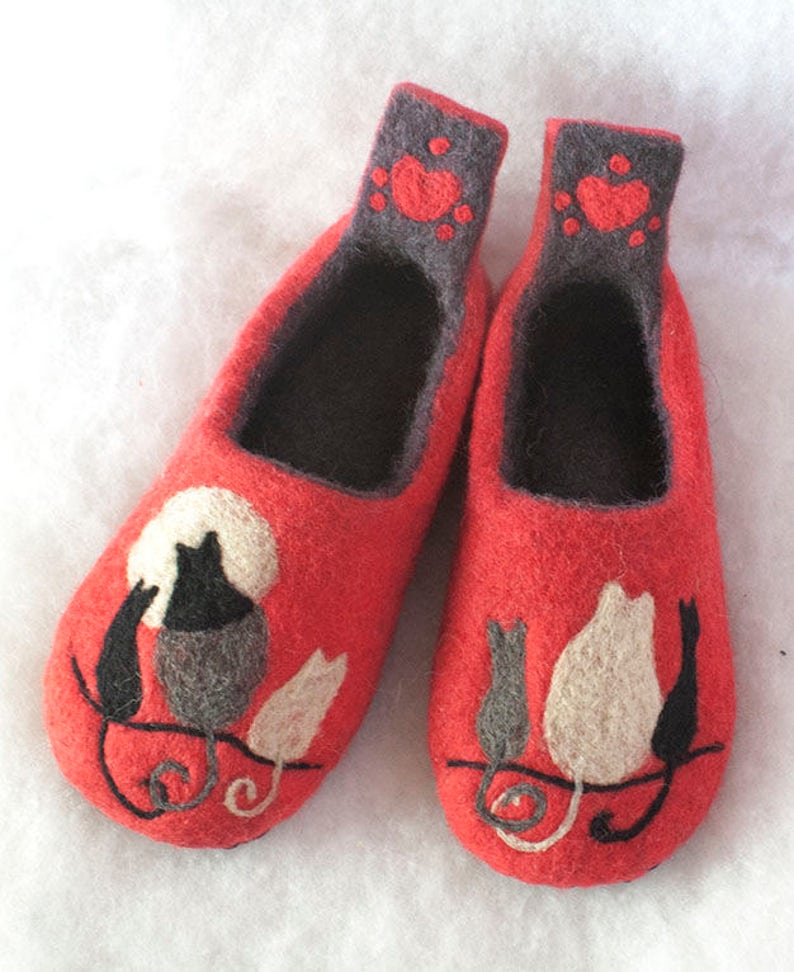 cat in slippers