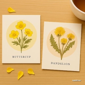 May include: Two botanical art prints featuring yellow flowers. One print shows buttercups, the other dandelions. The prints are on cream-colored paper with a yellow circle background. Yellow flower petals are scattered around the prints on a wooden surface.