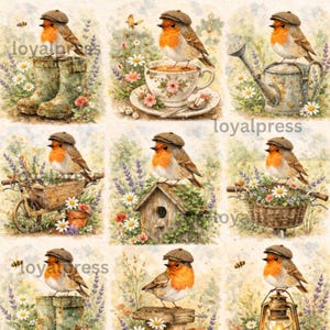 Paquete de tarjetas de felicitación con ilustraciones de aves británicas y paisajes rurales.