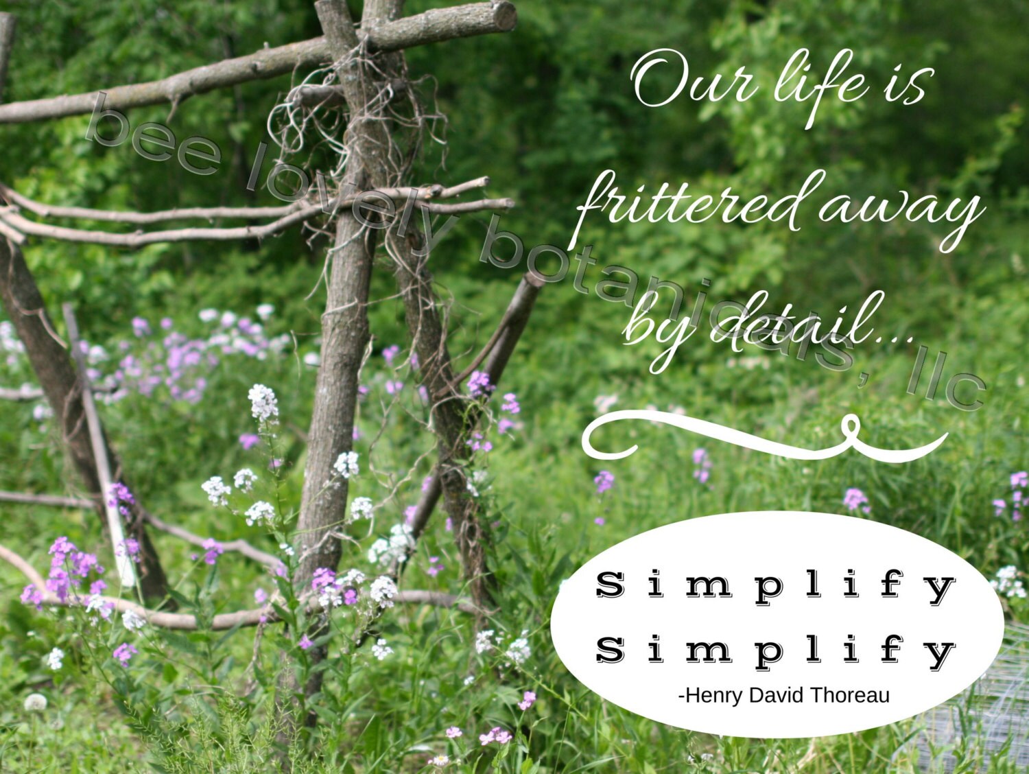 Floral Inspirational Quote Print Wildflower Henry David | Etsy