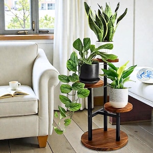 May include: A three-tiered plant stand with circular wooden shelves and black metal supports. The stand displays various potted plants with green leaves, including a snake plant, and a trailing vine. The stand is in a bright living room setting.